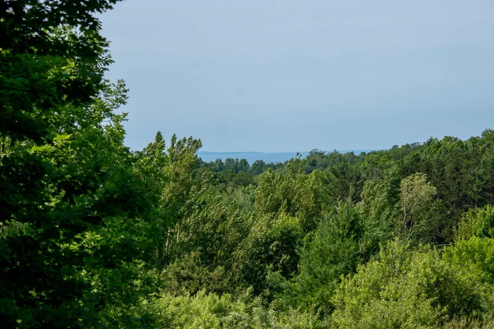 9742 E Peterson Road Leelanau Township, MI 49670