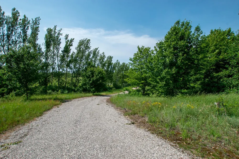 9742 E Peterson Road Leelanau Township, MI 49670