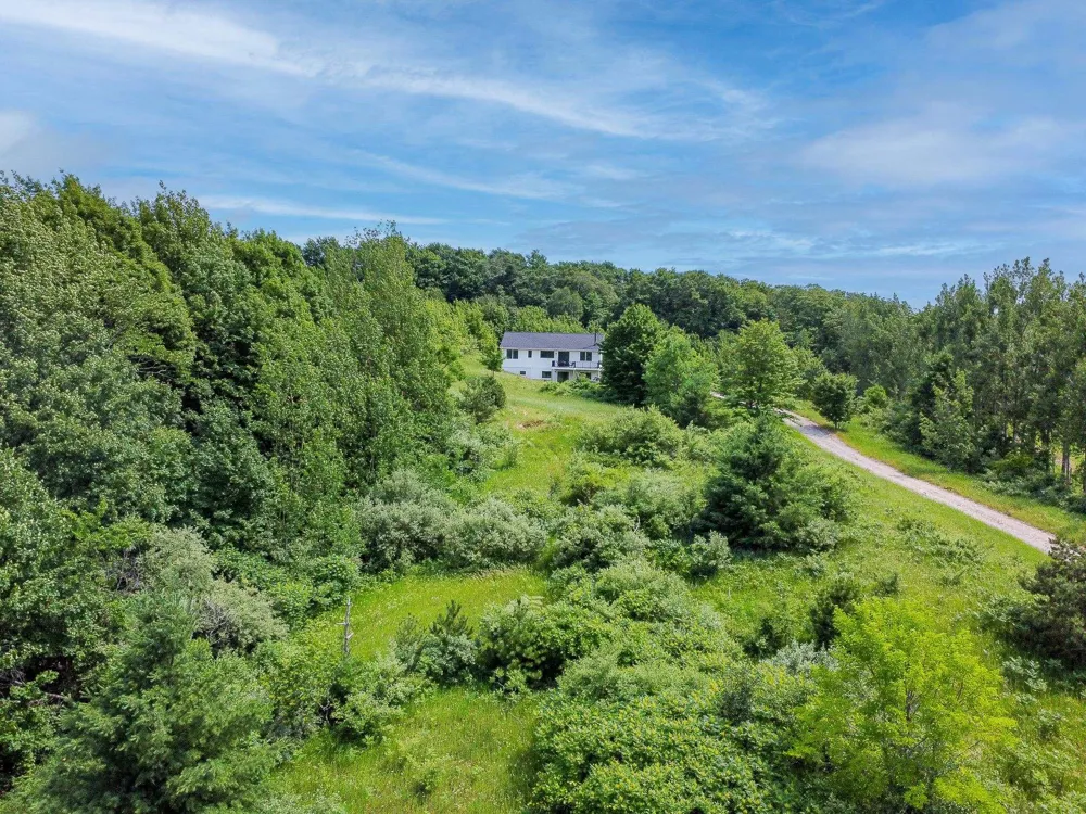 9742 E Peterson Road Leelanau Township, MI 49670