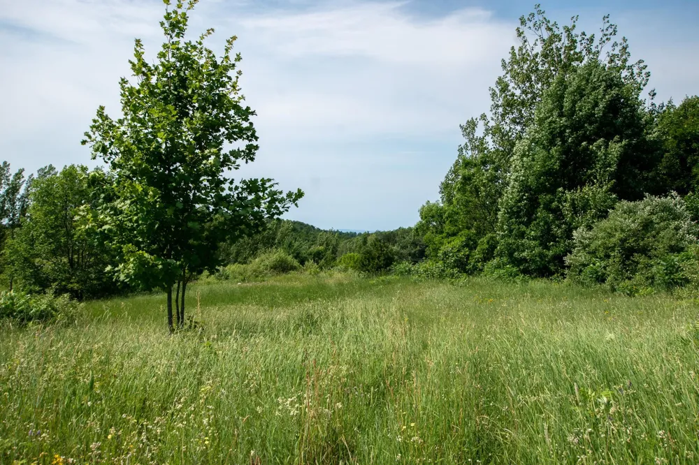 9742 E Peterson Road Leelanau Township, MI 49670