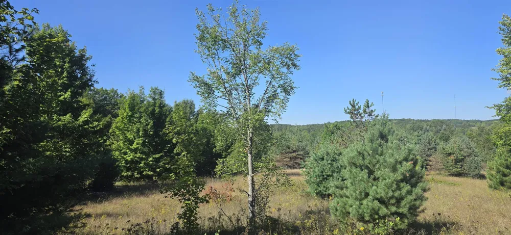 6320 Morey Road Pioneer Township, MI 49651