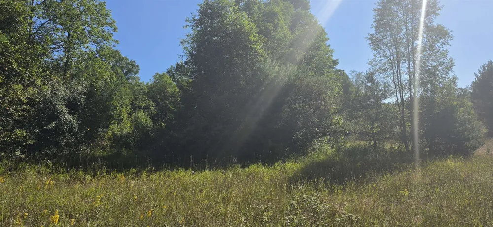 6320 Morey Road Pioneer Township, MI 49651