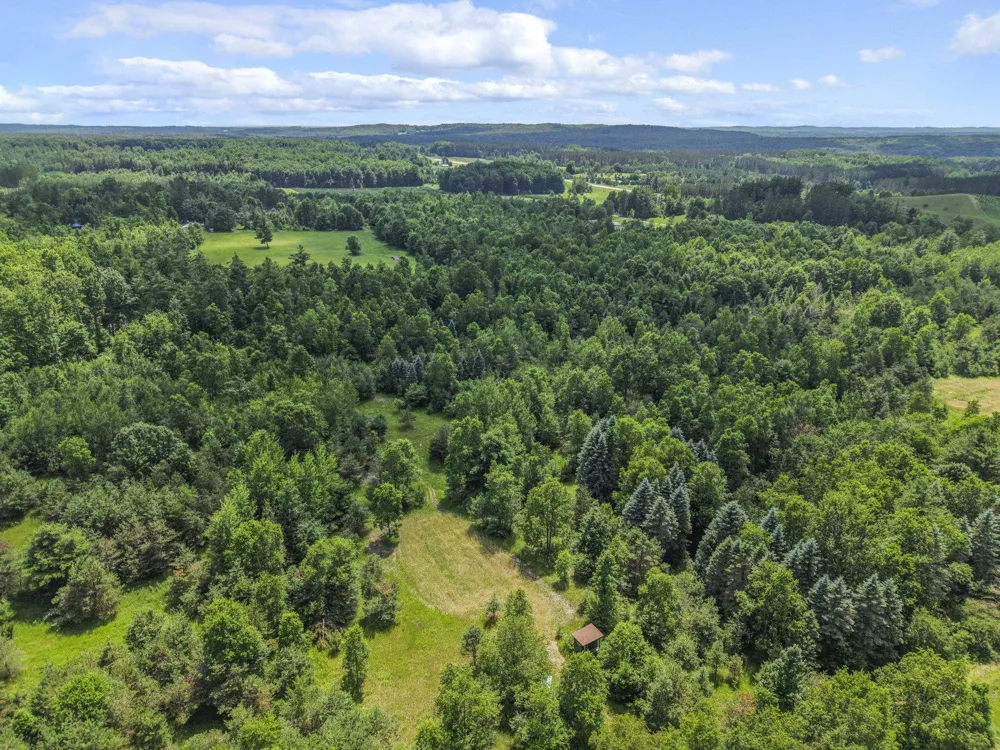 6320 Morey Road Pioneer Township, MI 49651