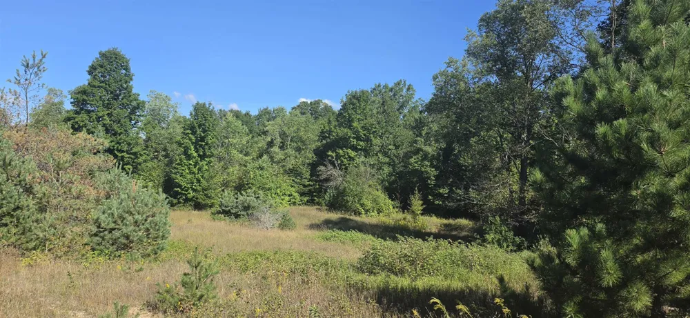 6320 Morey Road Pioneer Township, MI 49651