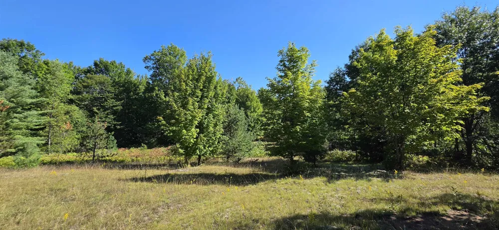 6320 Morey Road Pioneer Township, MI 49651