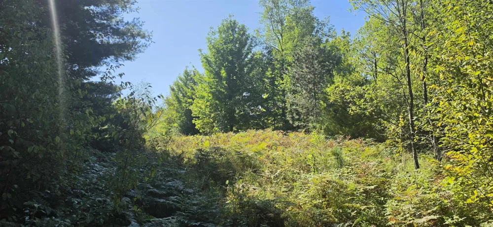 6320 Morey Road Pioneer Township, MI 49651