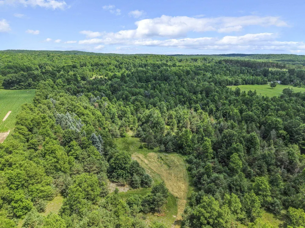 6320 Morey Road Pioneer Township, MI 49651