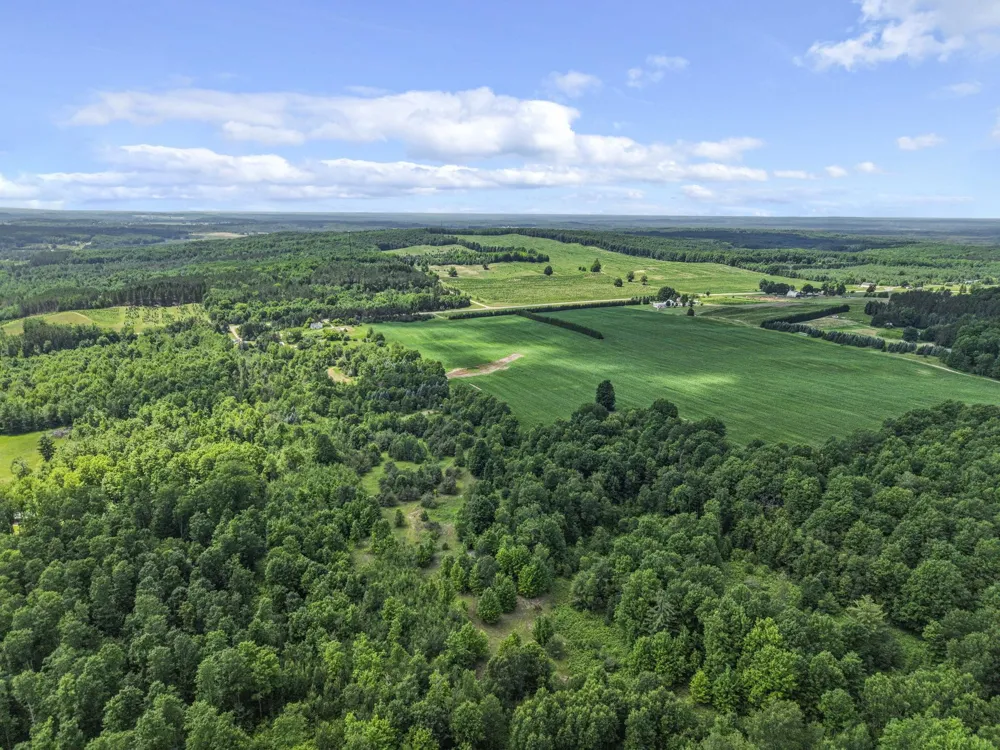 6320 Morey Road Pioneer Township, MI 49651