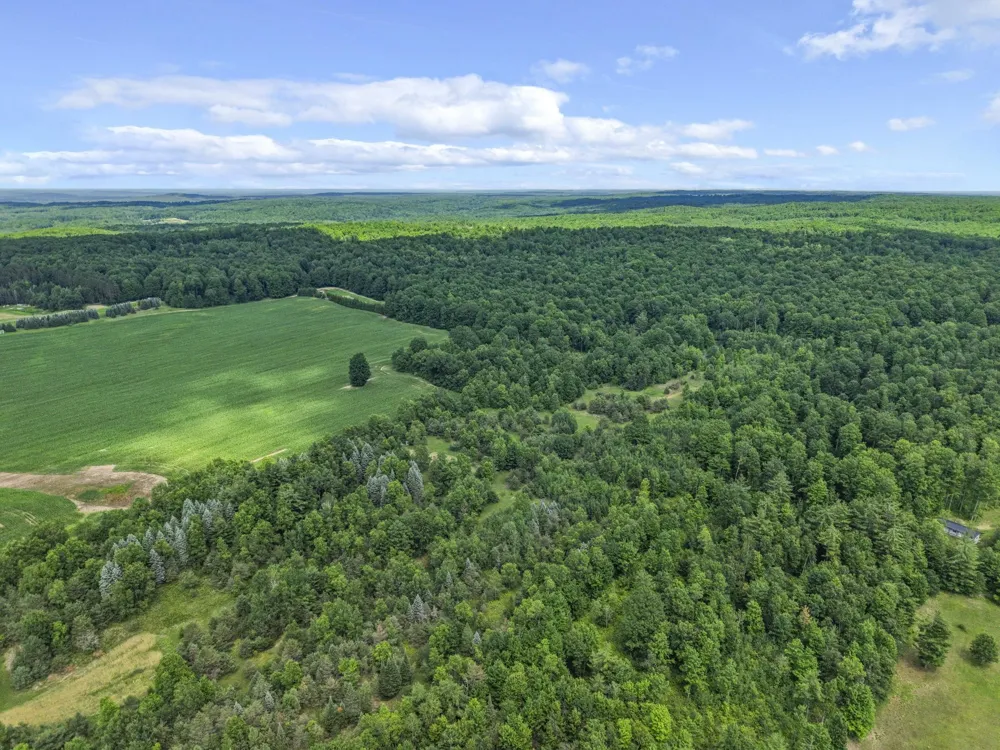6320 Morey Road Pioneer Township, MI 49651