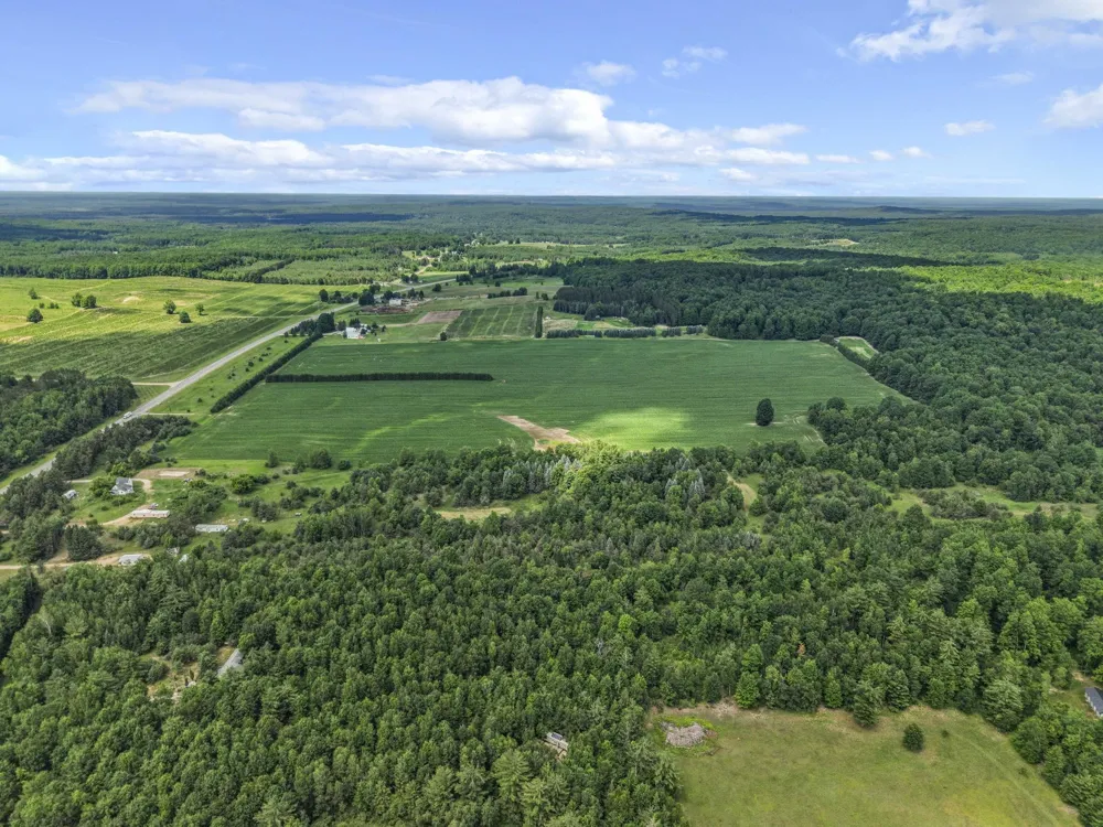 6320 Morey Road Pioneer Township, MI 49651