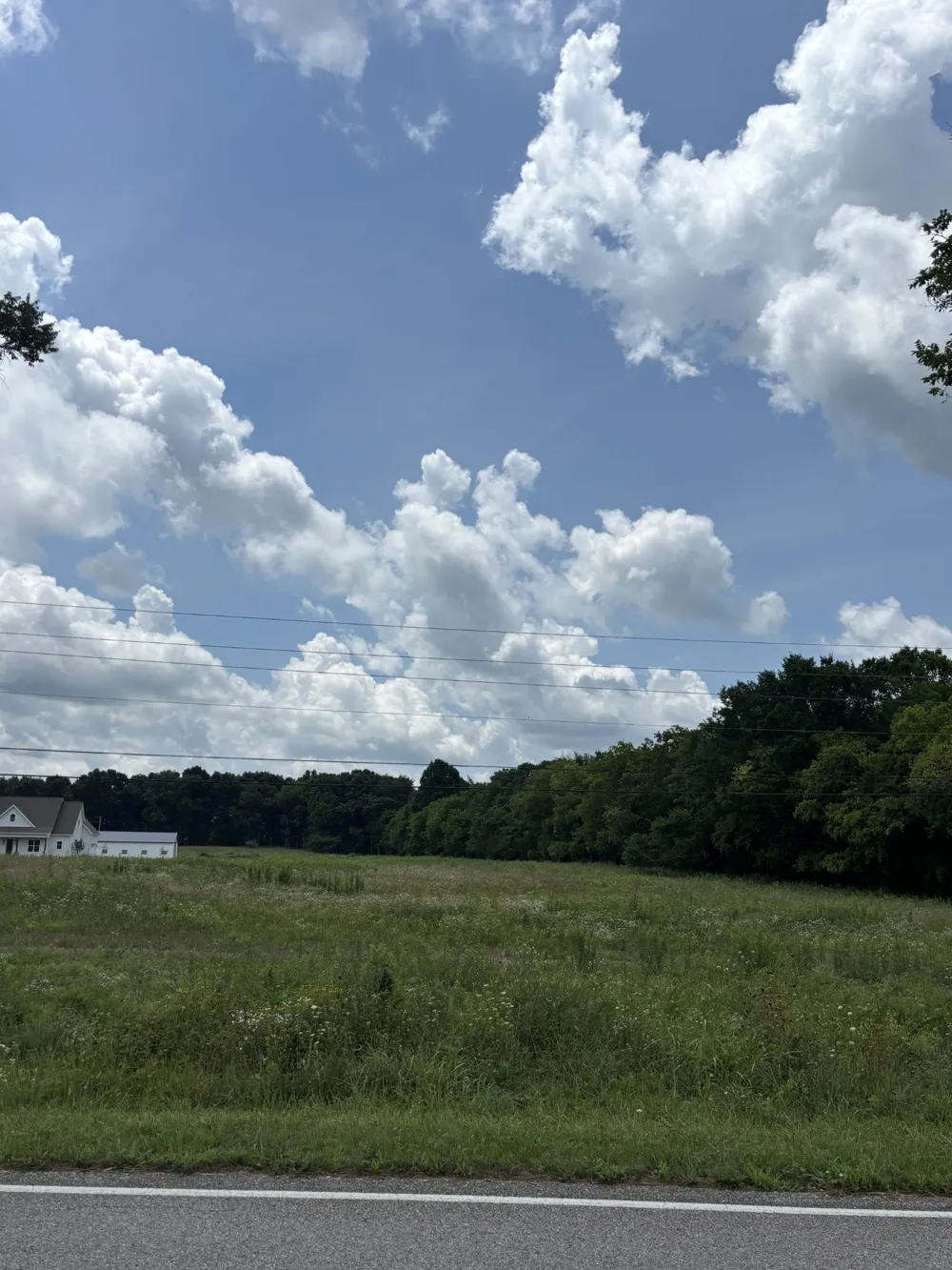 0 Unionville Rd Chapel Hill, TN 37034
