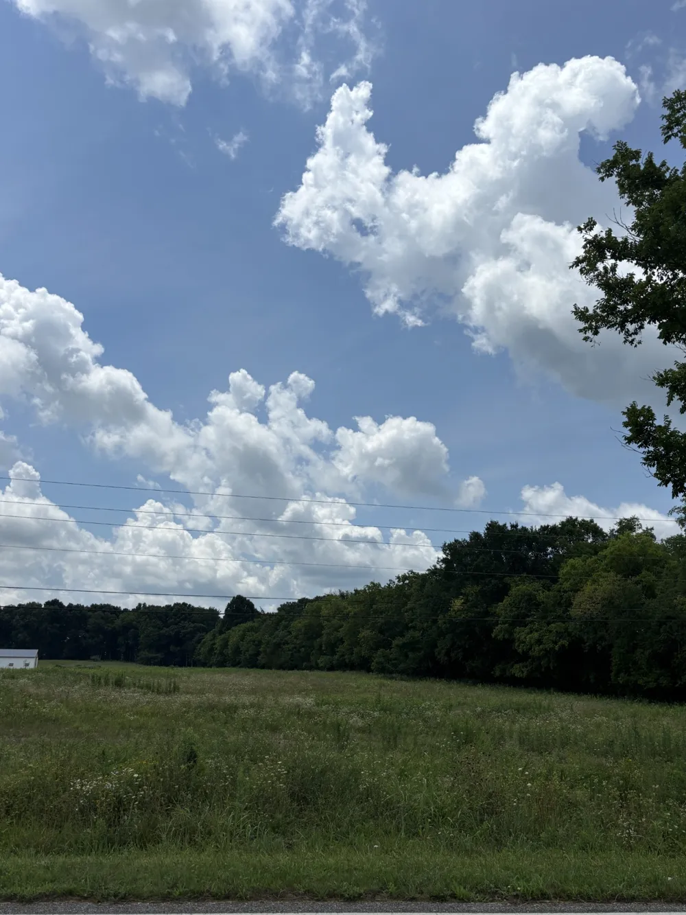 0 Unionville Rd Chapel Hill, TN 37034