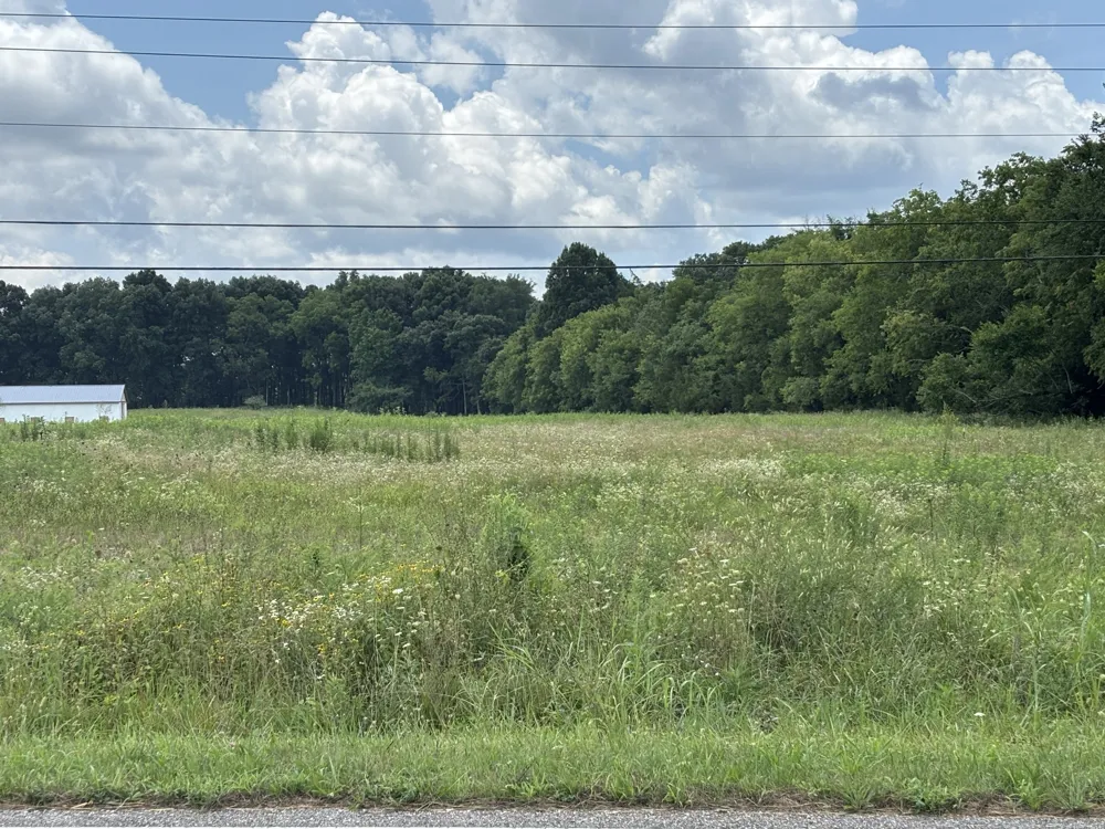 0 Unionville Rd Chapel Hill, TN 37034