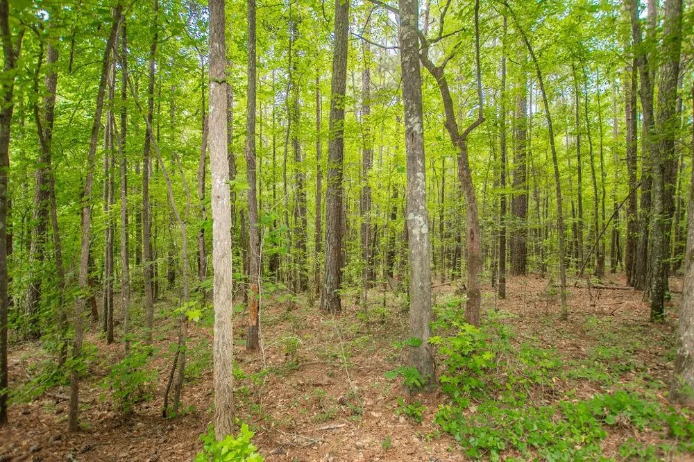 4321 Highway 186 Good Hope, GA 30641