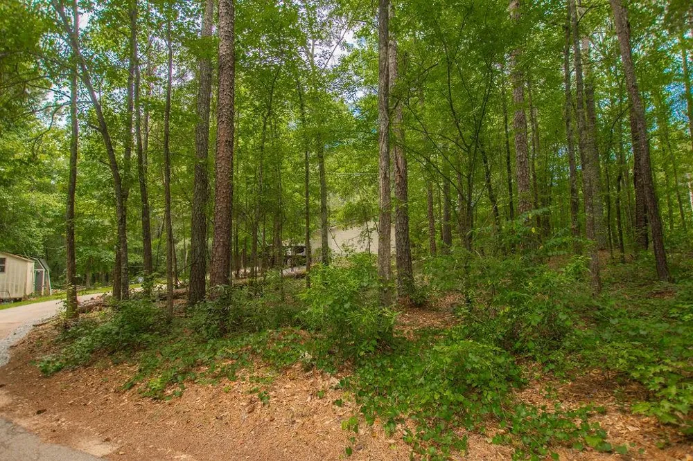 4321 Highway 186 Good Hope, GA 30641