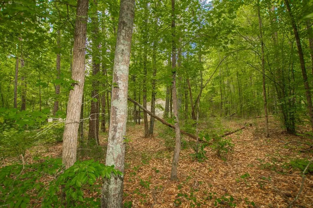 4321 Highway 186 Good Hope, GA 30641