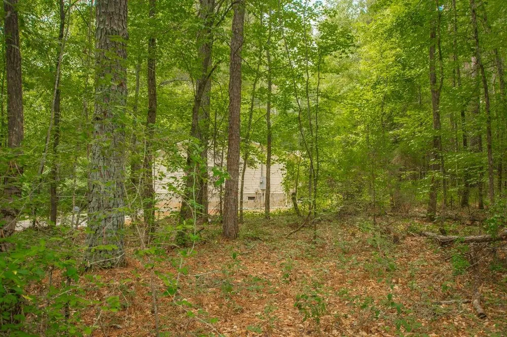 4321 Highway 186 Good Hope, GA 30641