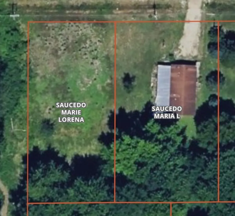 209 North Street Bangor, MI 49013