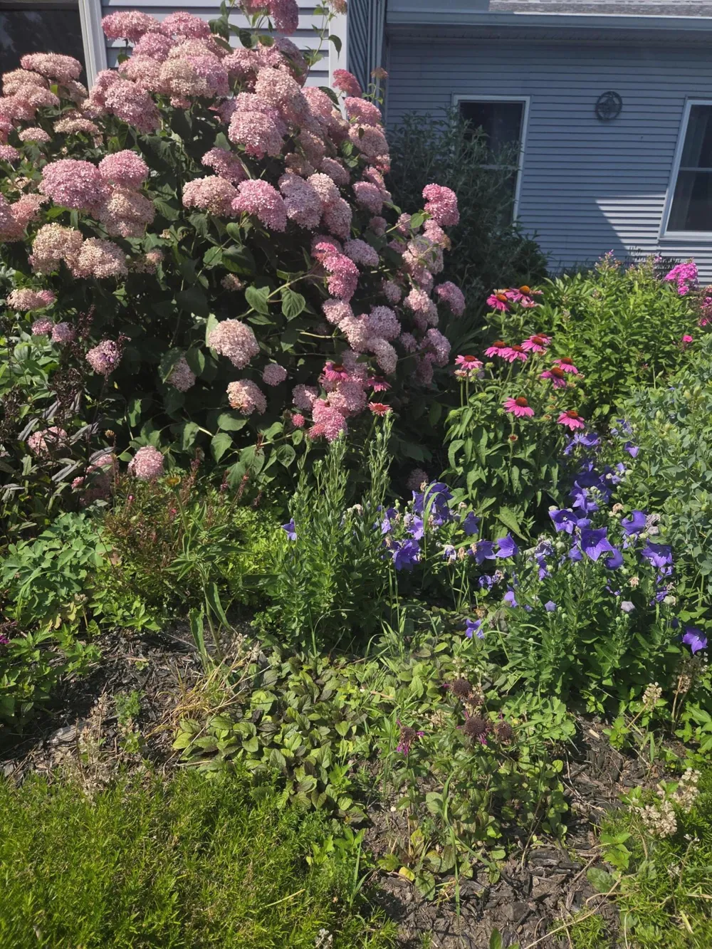1213 Hayes Street NW Marne, MI 49435