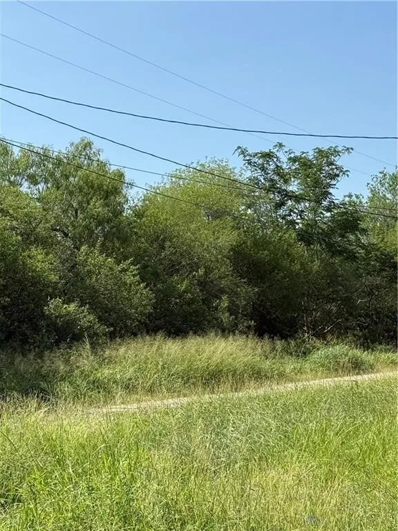 2 2nd Street Alice, TX 78342