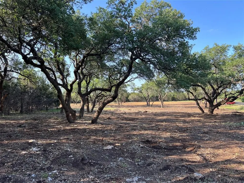 304 Stonegate Lane Dripping Springs, TX 78620