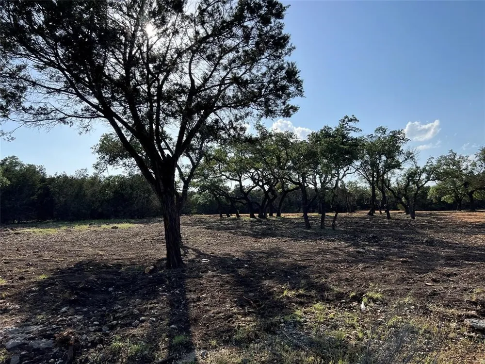 304 Stonegate Lane Dripping Springs, TX 78620