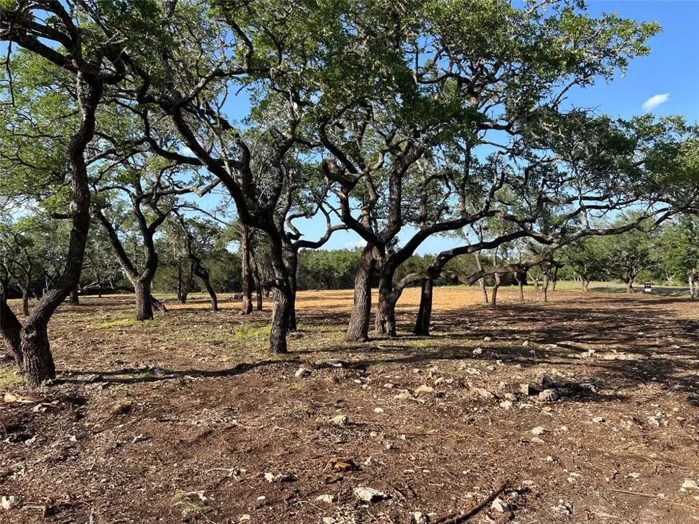304 Stonegate Lane Dripping Springs, TX 78620