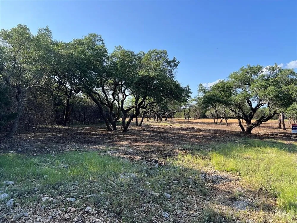 304 Stonegate Lane Dripping Springs, TX 78620