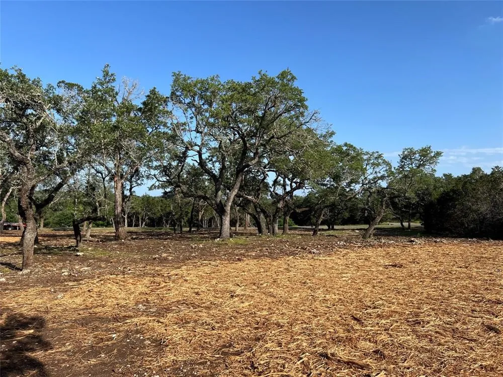 304 Stonegate Lane Dripping Springs, TX 78620