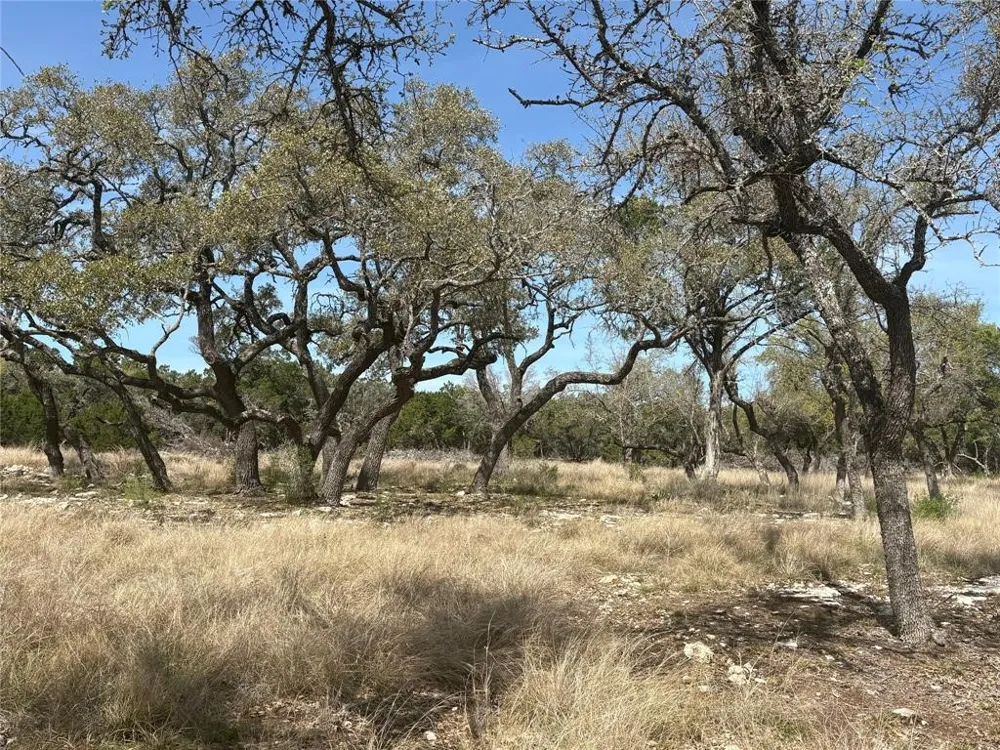 304 Stonegate Lane Dripping Springs, TX 78620