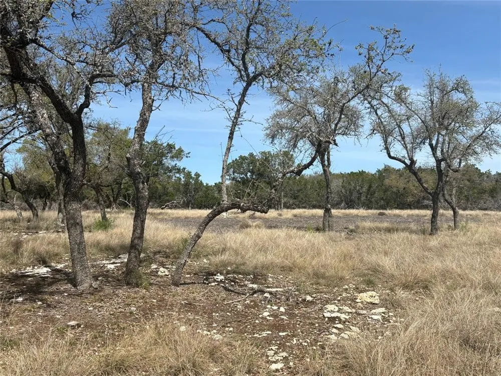 304 Stonegate Lane Dripping Springs, TX 78620