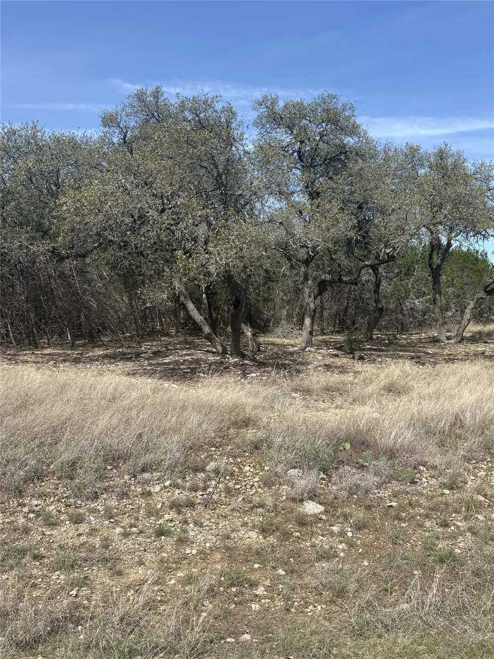 304 Stonegate Lane Dripping Springs, TX 78620