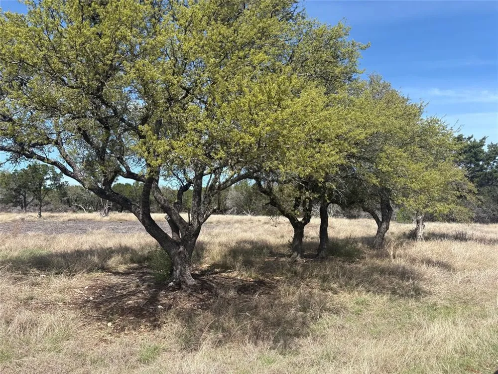 304 Stonegate Lane Dripping Springs, TX 78620
