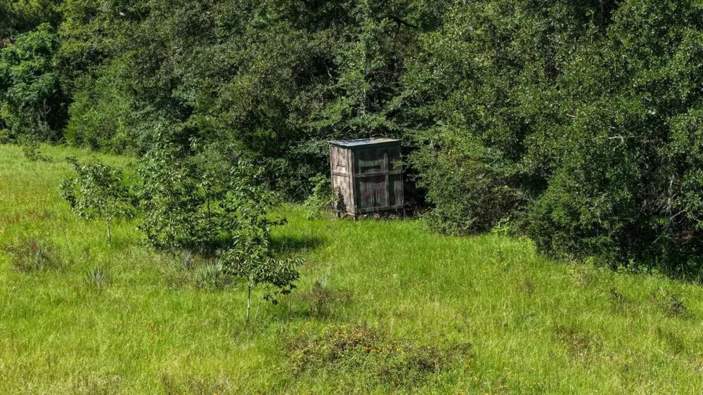 Fm 2158 Midway, TX 75852