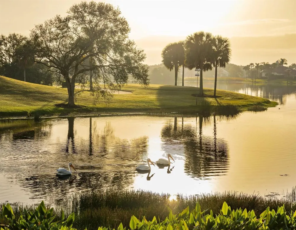 1726 Victoria Circle Vero Beach, FL 32967