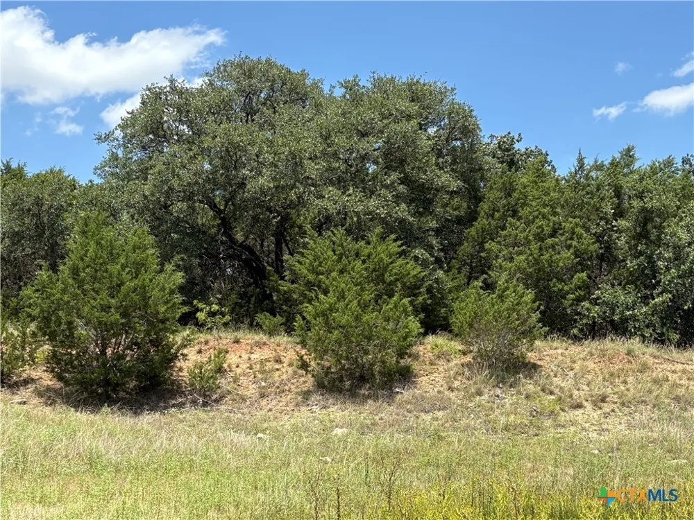 County Road 303 Bertram, TX 78605