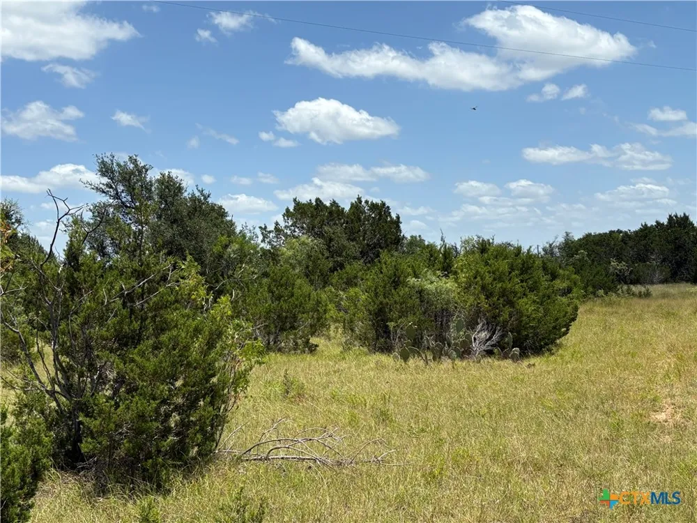 County Road 303 Bertram, TX 78605