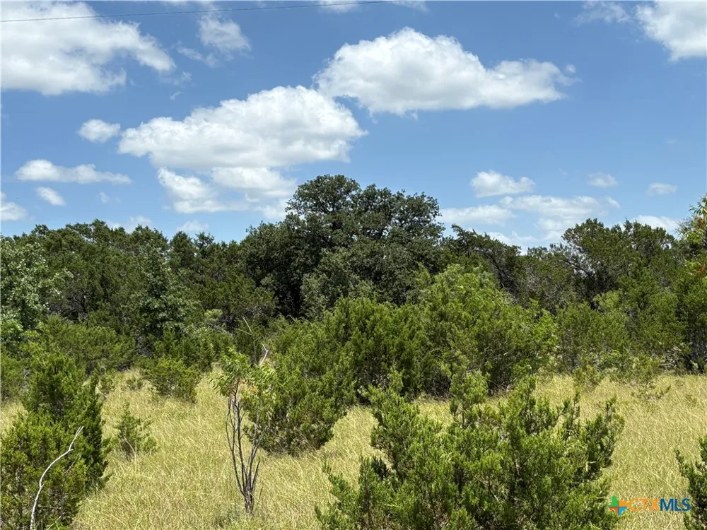 County Road 303 Bertram, TX 78605