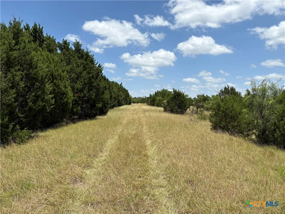 County Road 303 Bertram, TX 78605
