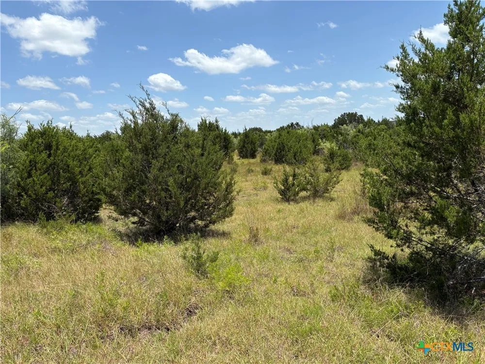 County Road 303 Bertram, TX 78605