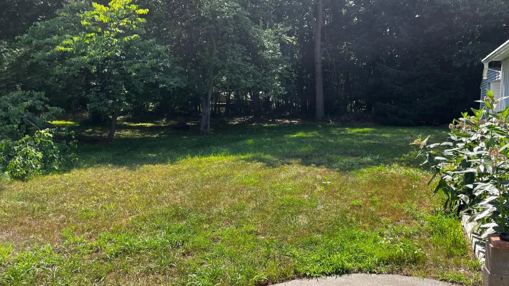 309 Friant Street Grand Haven City, MI 49417