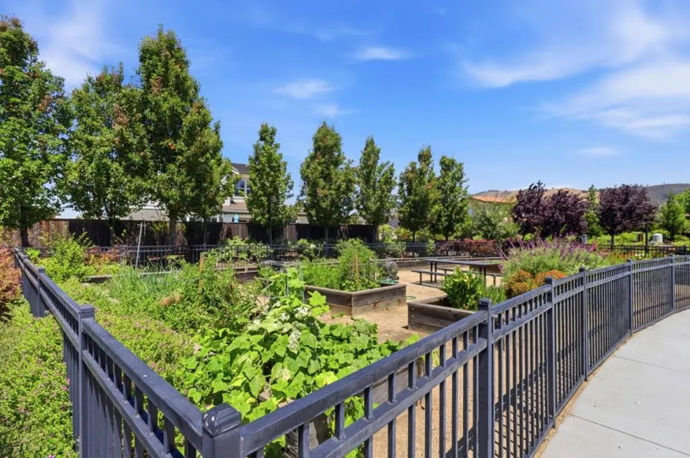 1330 Golden Eagle Drive Morgan Hill, CA 95037