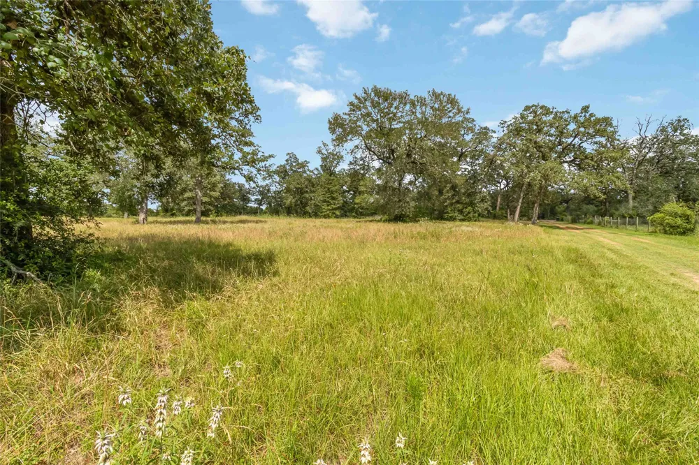 1208 Jeddo Road Rosanky, TX 78953