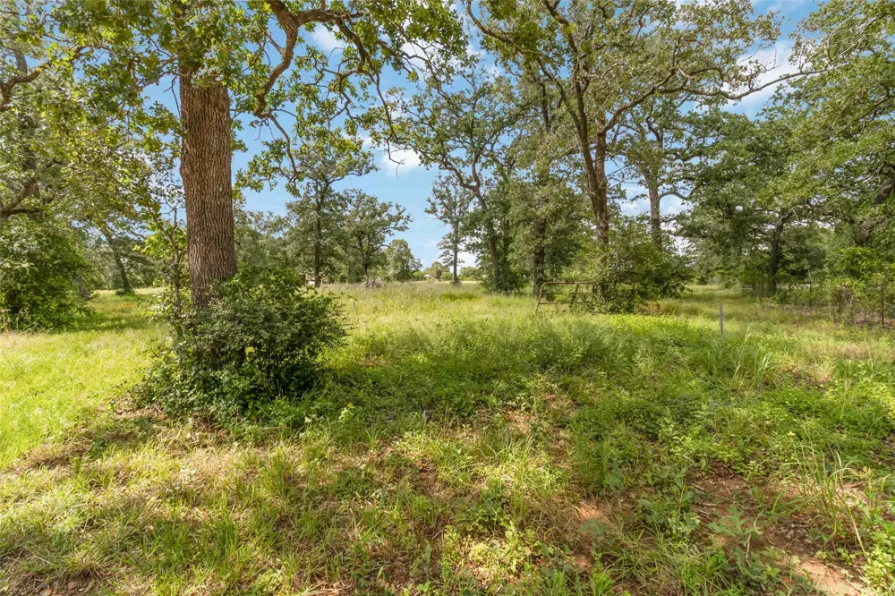 1208 Jeddo Road Rosanky, TX 78953