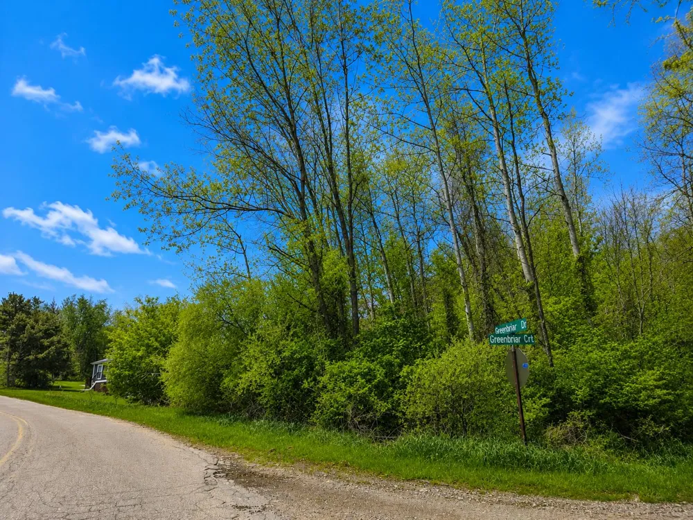 11838 Greenbriar Drive Jerome, MI 49249