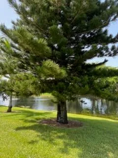 2708 Nassau Bend #A1 Coconut Creek, FL 33066