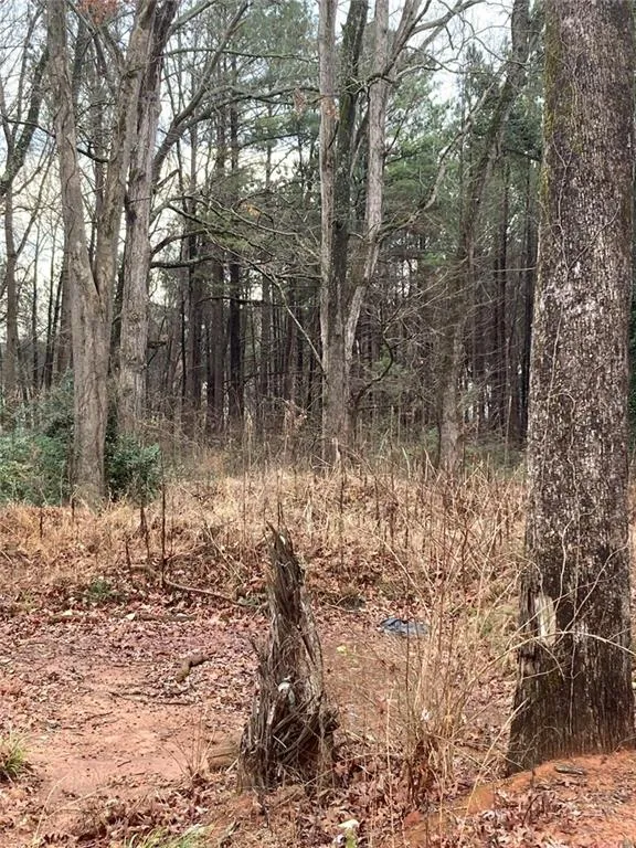 6661 Highway 42 Rex, GA 30273