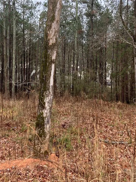 6661 Highway 42 Rex, GA 30273