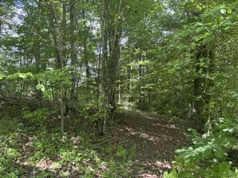Holly Ridge Dr