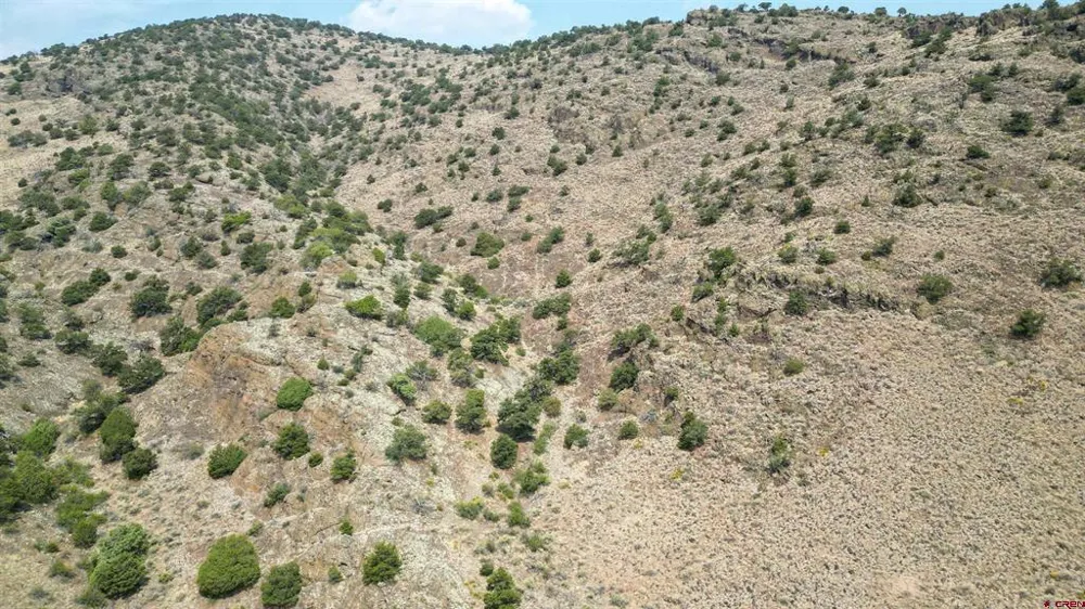 27 Ghost Mine Ranch Del Norte, CO 81132